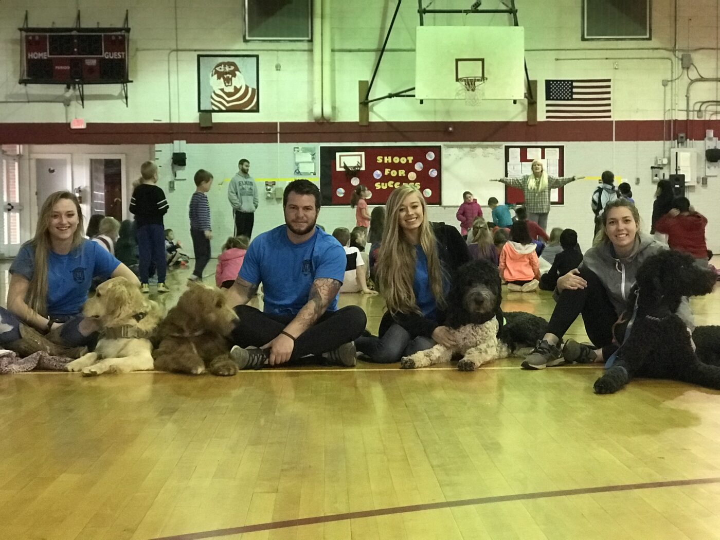 Group training seminar with handlers and working dogs in a gymnasium